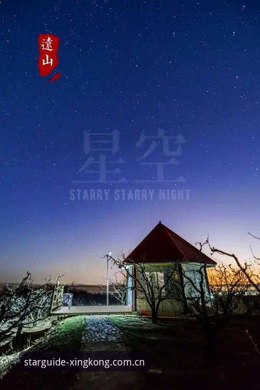 星空登录通道体验手记：从打开网页到找到入口